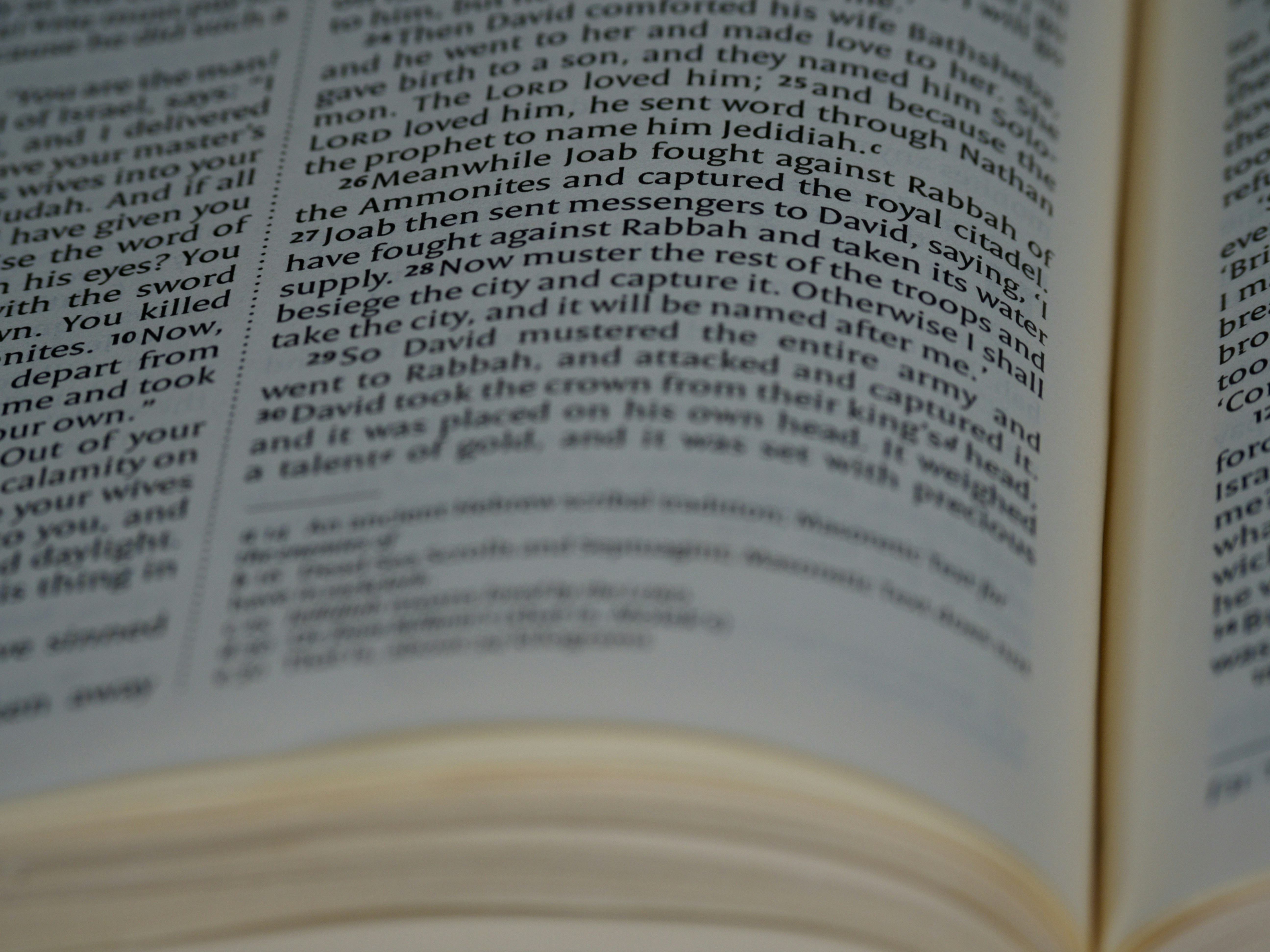 Photo by brett_jordan