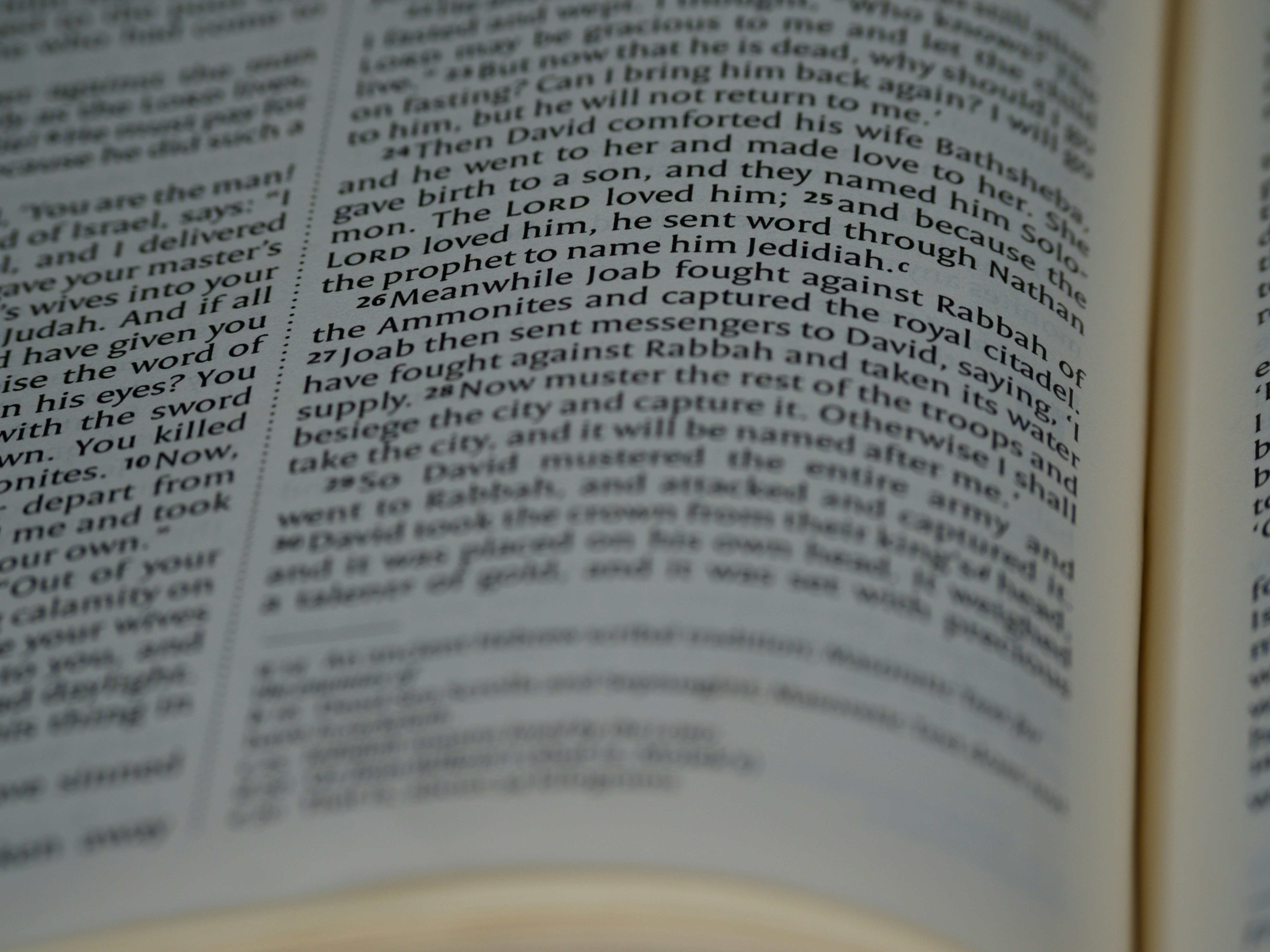 Photo by brett_jordan