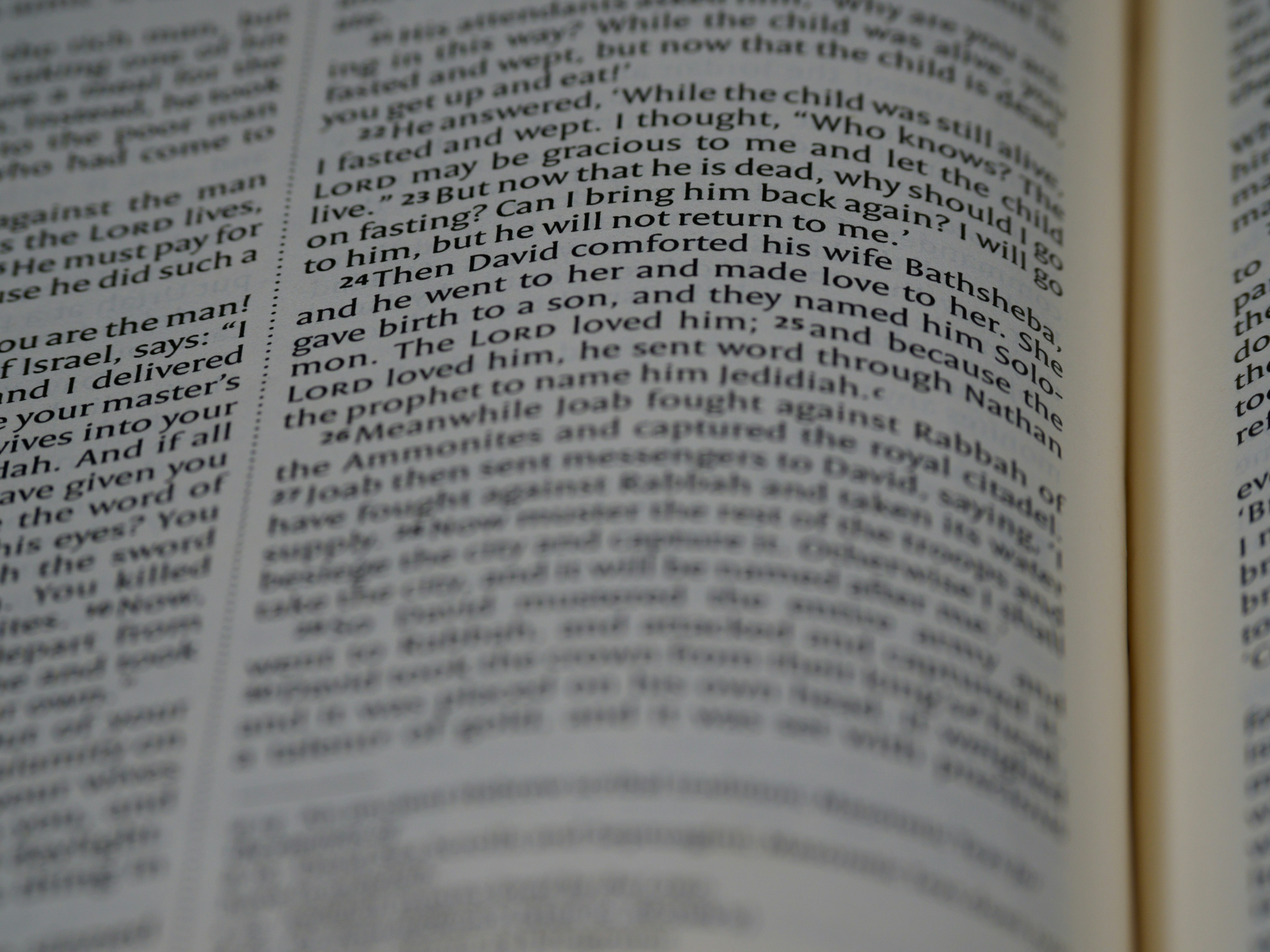 Photo by brett_jordan