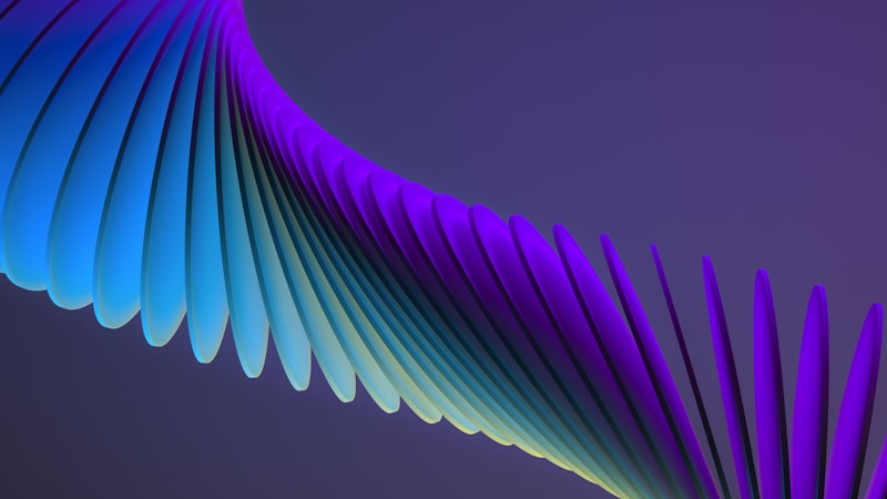 Noron aglari ve sinirsel baglantilar