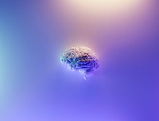 A detailed depiction of a human brain floating in a serene, gradient background with hues of blue and purple. The brain appears realistic and is centrally positioned, giving it prominence against the smooth, calming backdrop.