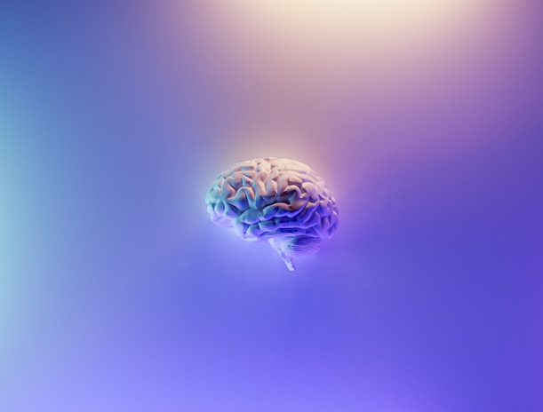 A detailed depiction of a human brain floating in a serene, gradient background with hues of blue and purple. The brain appears realistic and is centrally positioned, giving it prominence against the smooth, calming backdrop.
