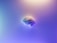A detailed depiction of a human brain floating in a serene, gradient background with hues of blue and purple. The brain appears realistic and is centrally positioned, giving it prominence against the smooth, calming backdrop.