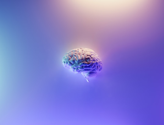 A detailed depiction of a human brain floating in a serene, gradient background with hues of blue and purple. The brain appears realistic and is centrally positioned, giving it prominence against the smooth, calming backdrop.