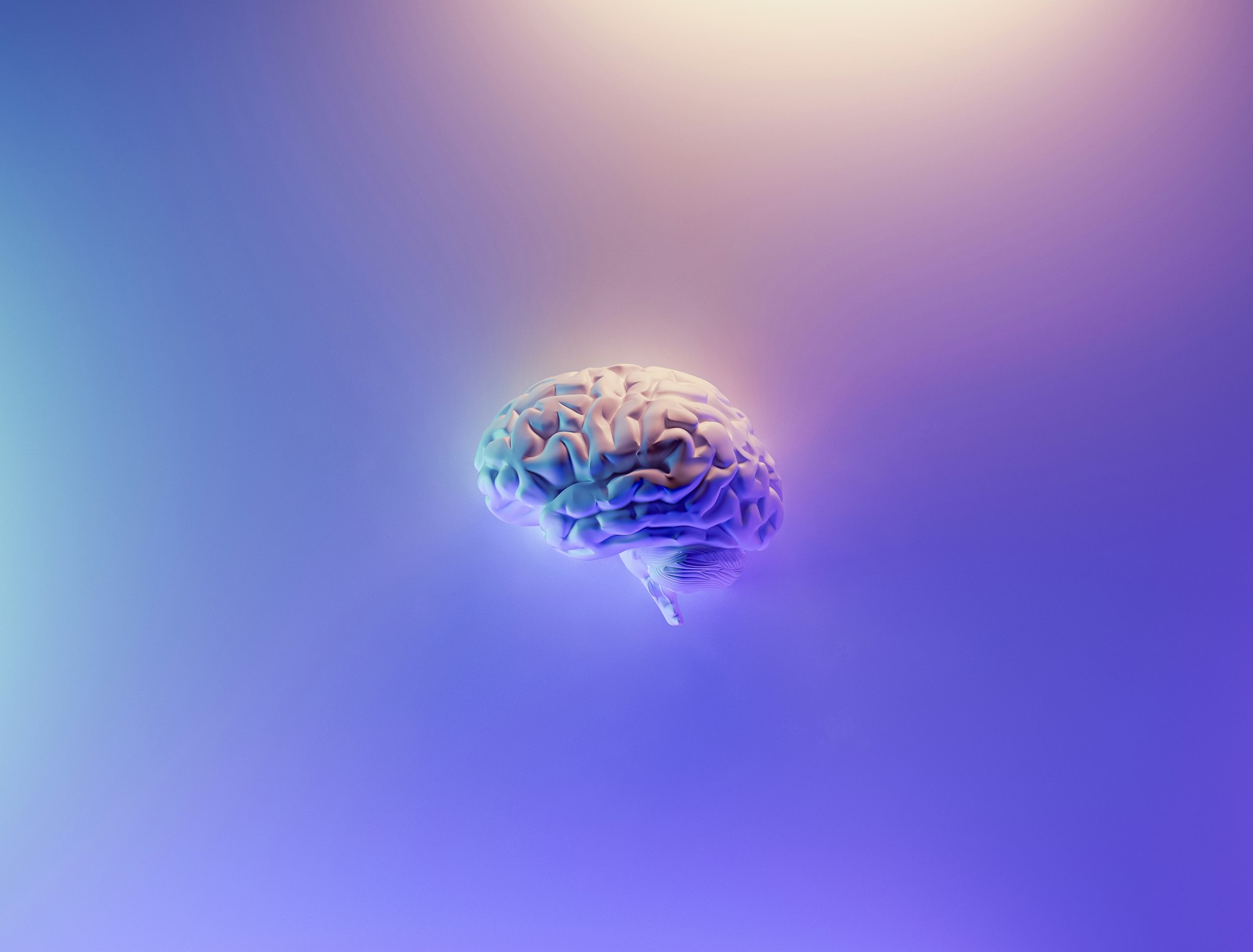 A stylized 3D model of a human brain, against a background that is various shades of blue, purple, and orange.