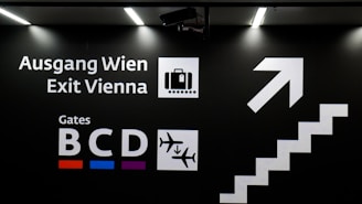 Smiling driver greeting passengers with luggage at Vienna airport arrivals.