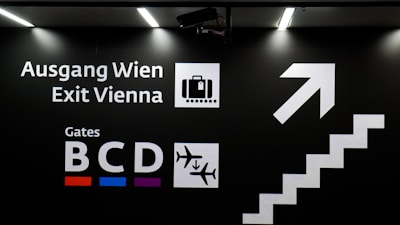 Smiling driver greeting passengers with luggage at Vienna airport arrivals.