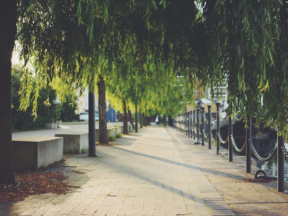 Ein Bürgersteig mit Bäumen und Bänken neben einem Fluss