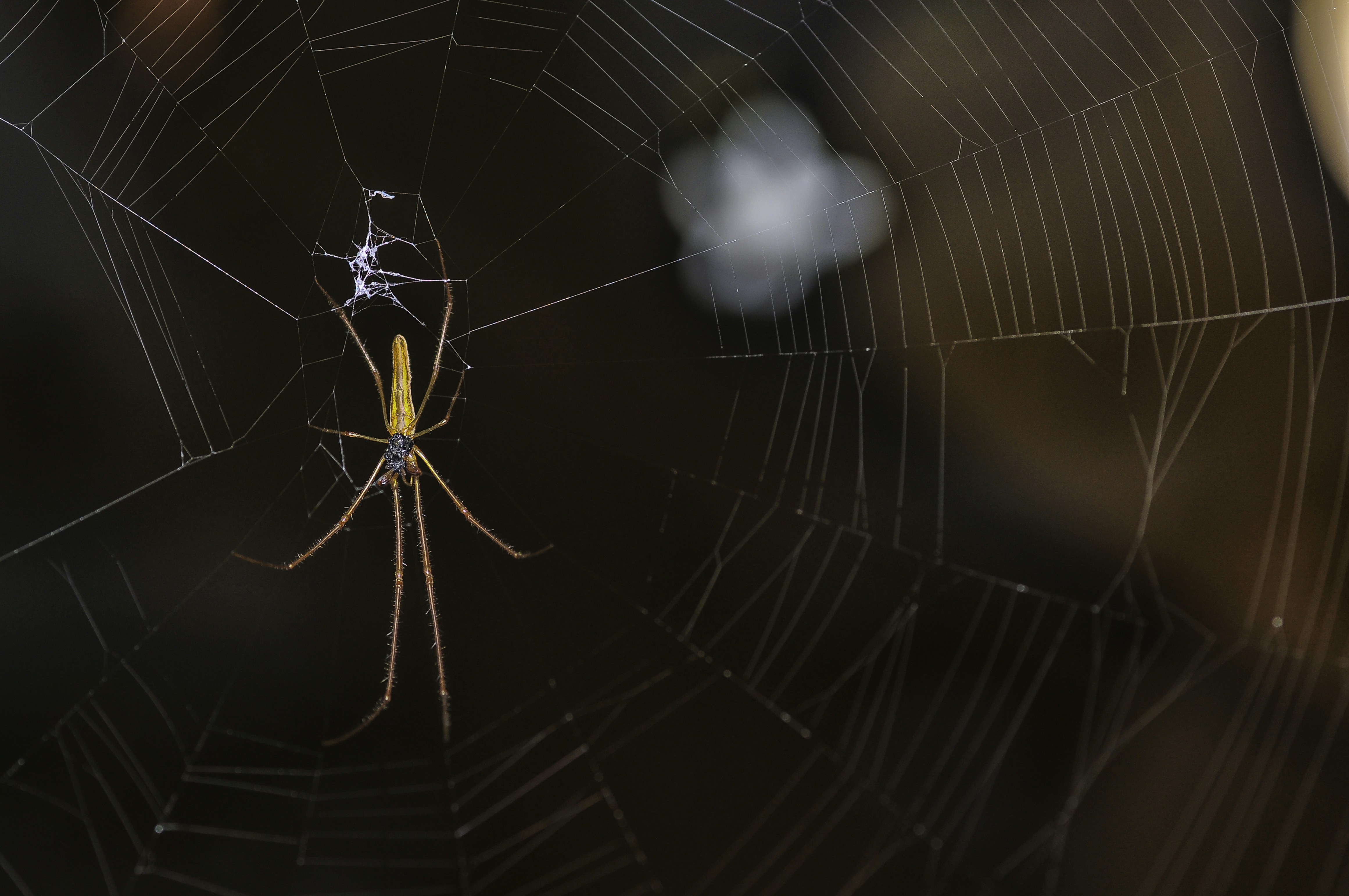 Photo by thom_oxford