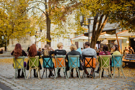 people sitting on chair under tree during daytime