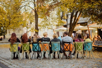 people sitting on chair under tree during daytime