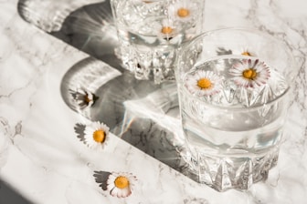 white daisy on clear glass cup