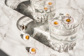 white daisy on clear glass cup