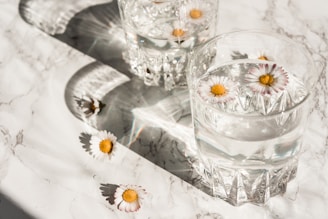 white daisy on clear glass cup with water