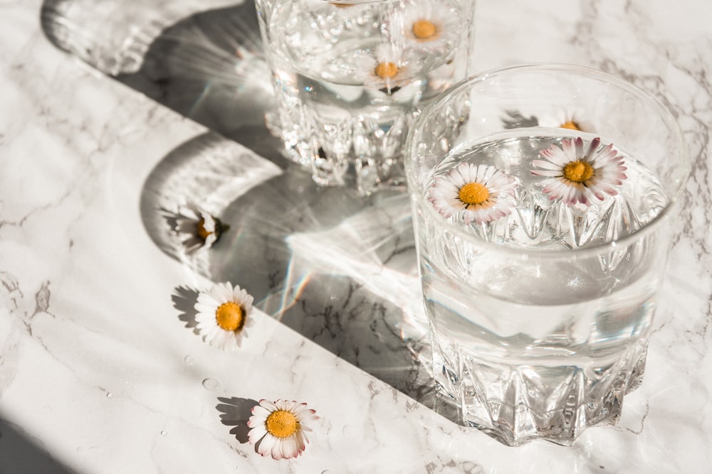 marguerite blanche sur tasse en verre transparent
