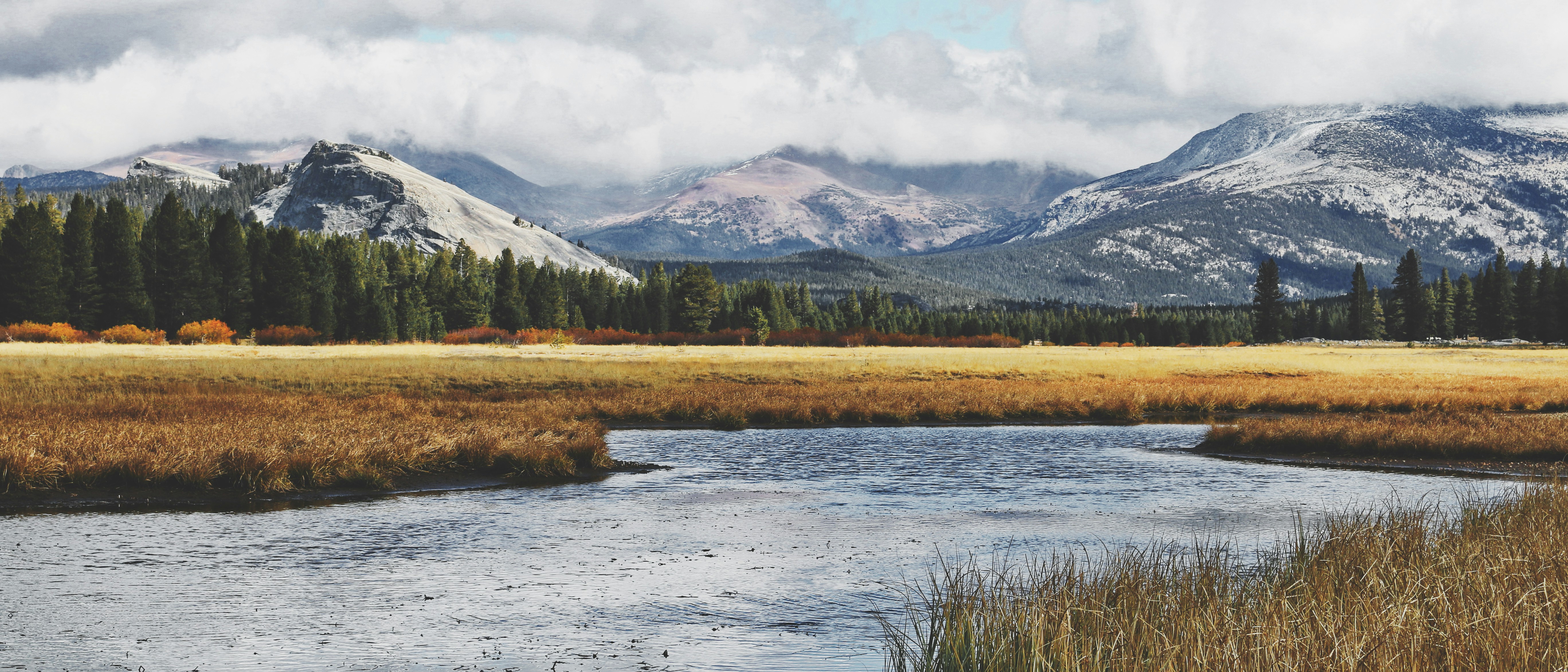 Photo by chaoscaptured