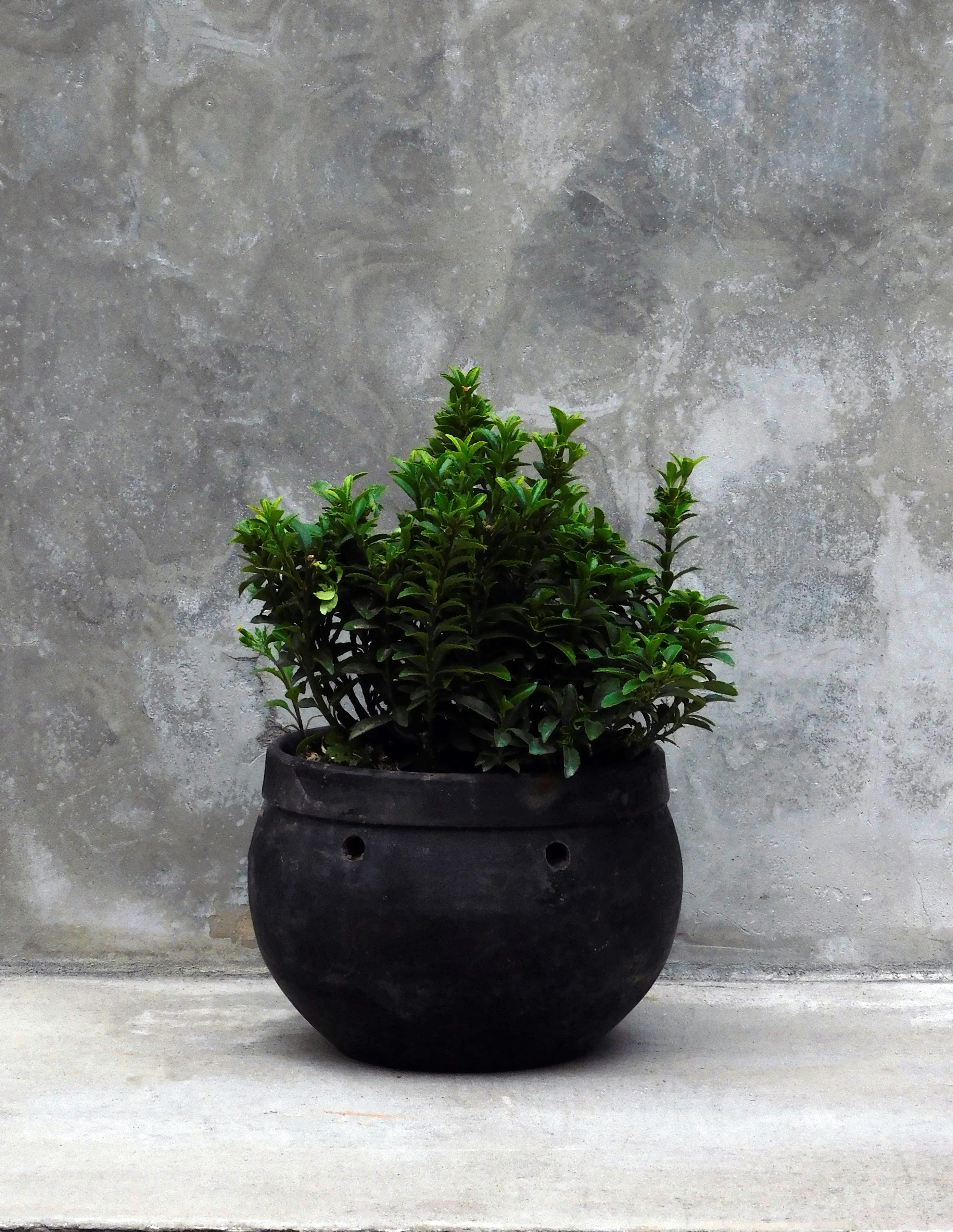 White marble Planter