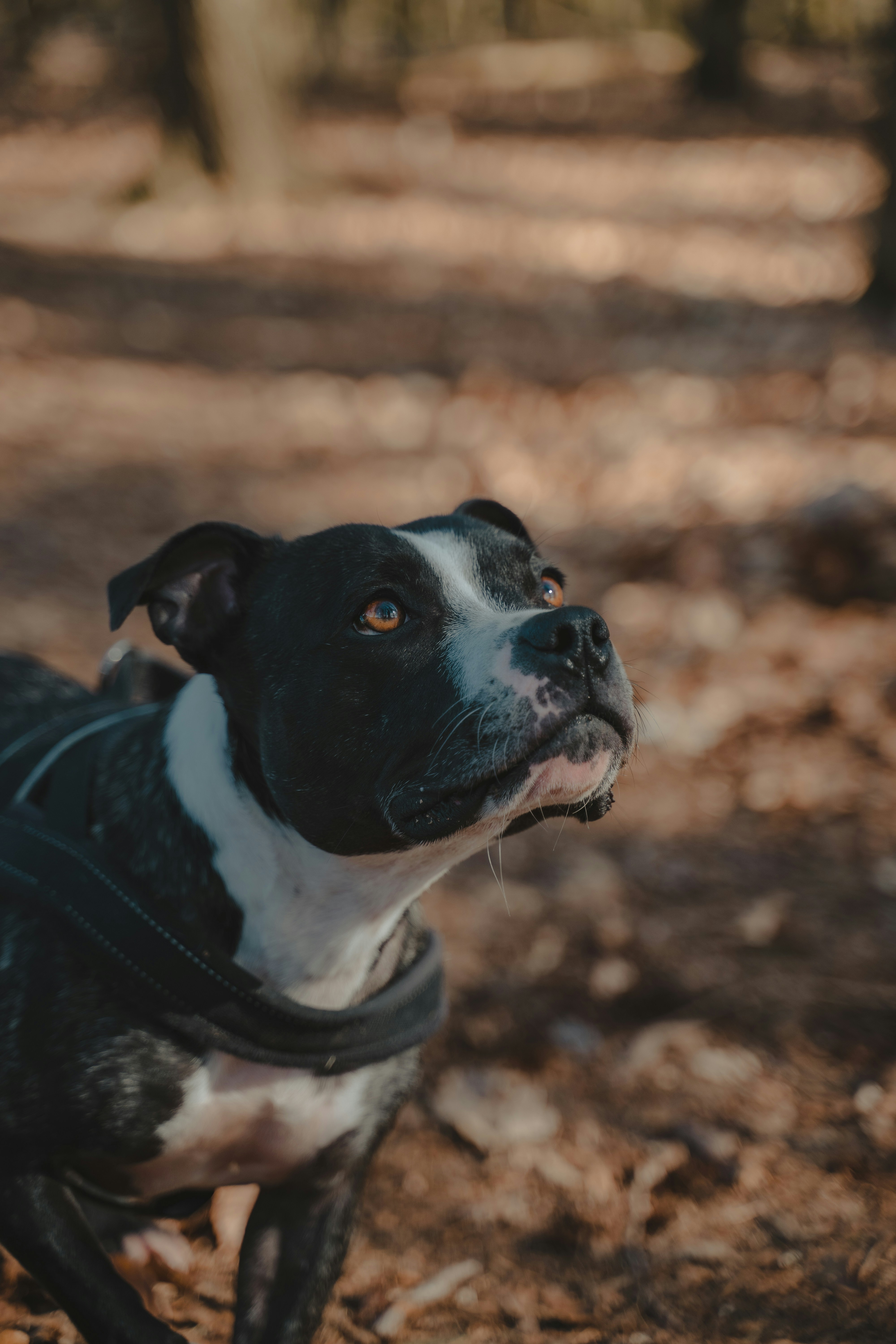 Photo by henry_ravenscroft_