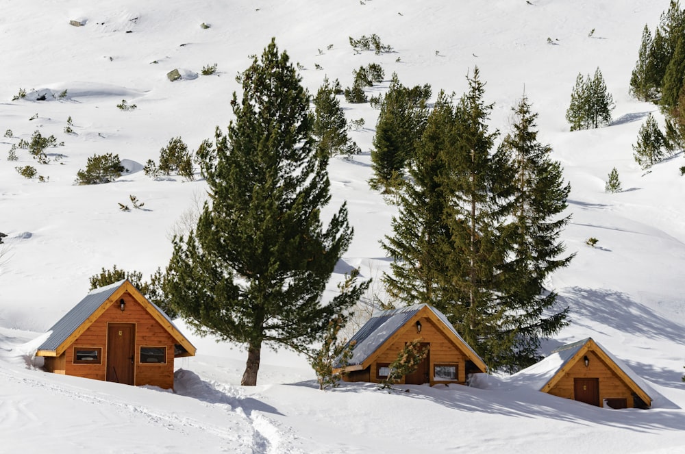 brown wooden house on snow covered ground near green trees during daytime