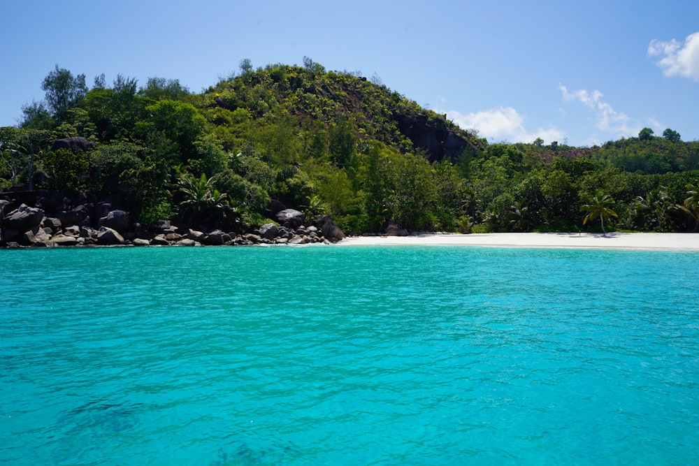 green trees on island during daytime