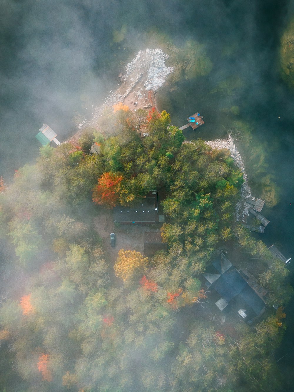 persone che camminano sul sentiero tra gli alberi durante il giorno