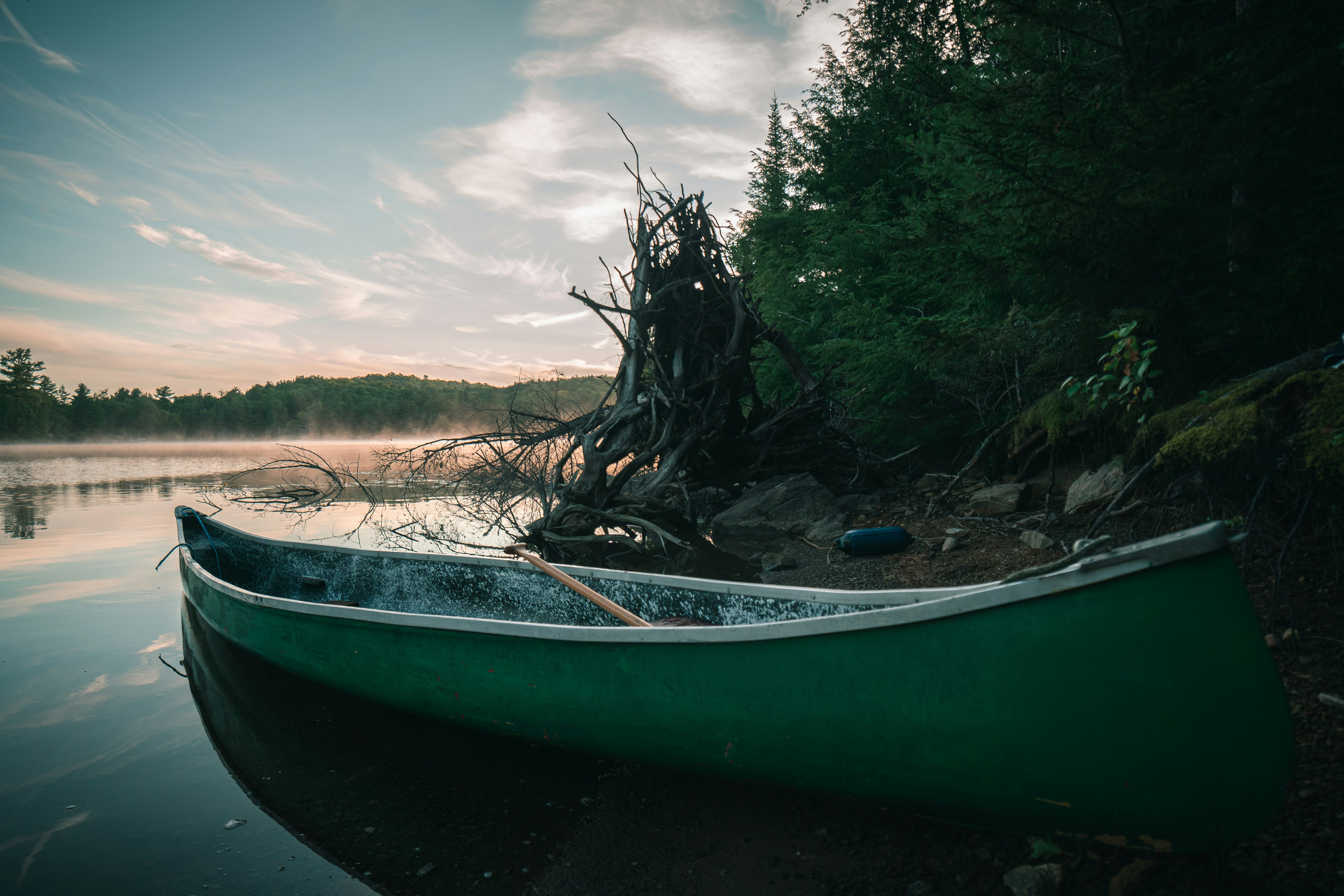 green and white canoe on brown sand near green trees under white clouds and blue sky, 