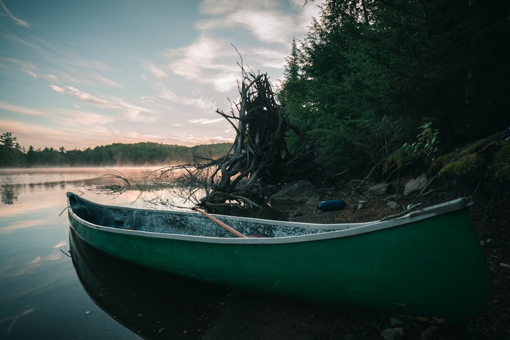 green and white canoe on brown sand near green trees under white clouds and blue sky