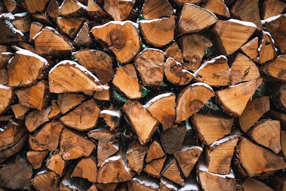 brown and green wood logs