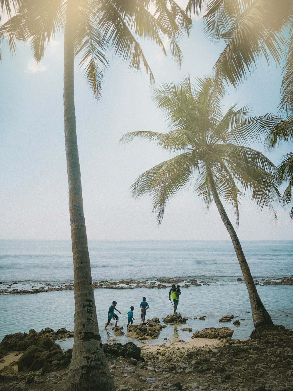 people on beach during daytime