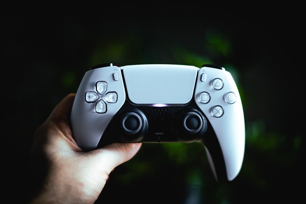 person holding white and black game controller