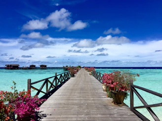 brown wooden dock on blue sea under blue sky during daytime