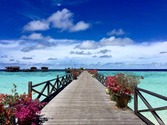 brown wooden dock on blue sea under blue sky during daytime