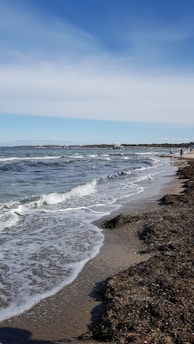 An image showing water quality sensors along the beach.
