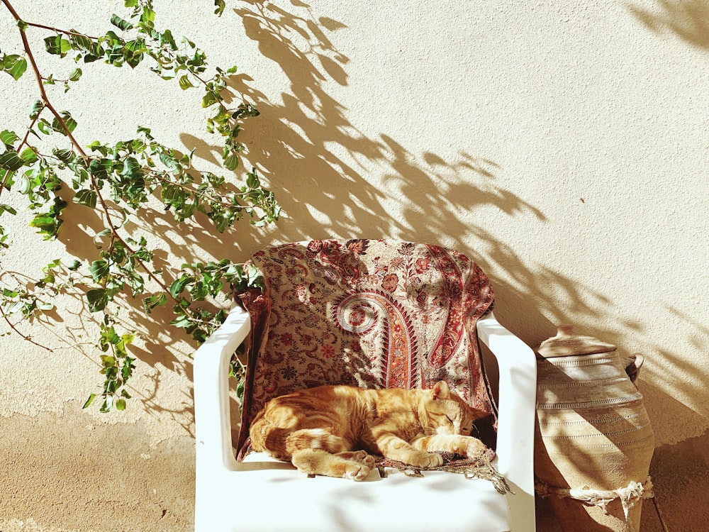 brown and white floral throw pillow on white and red floral armchair