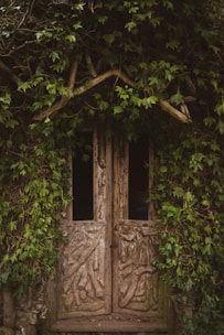 Close-up of a rustic wooden door with elegant golden handles, surrounded by vibrant green ivy.