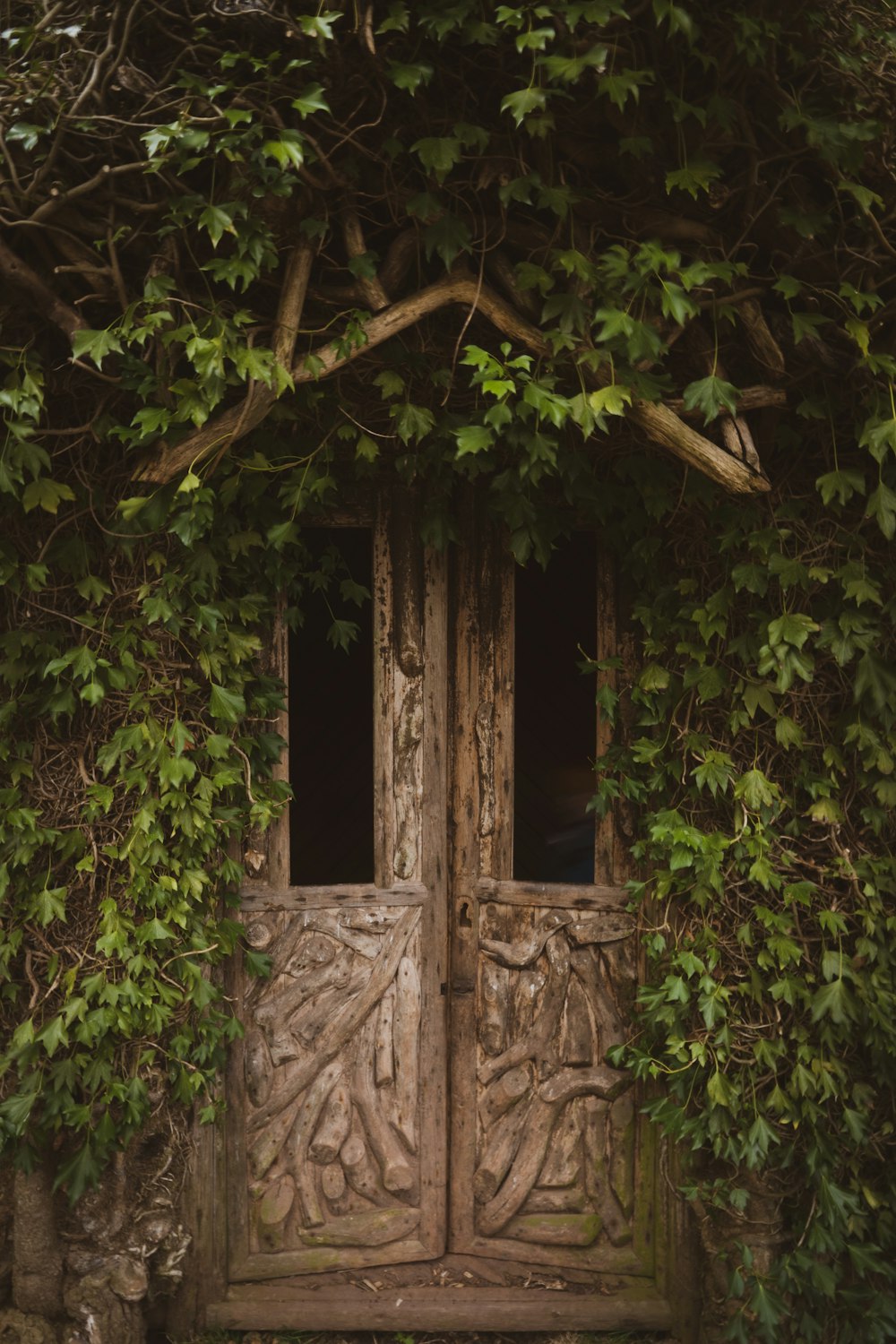 brown wooden door in green trees
