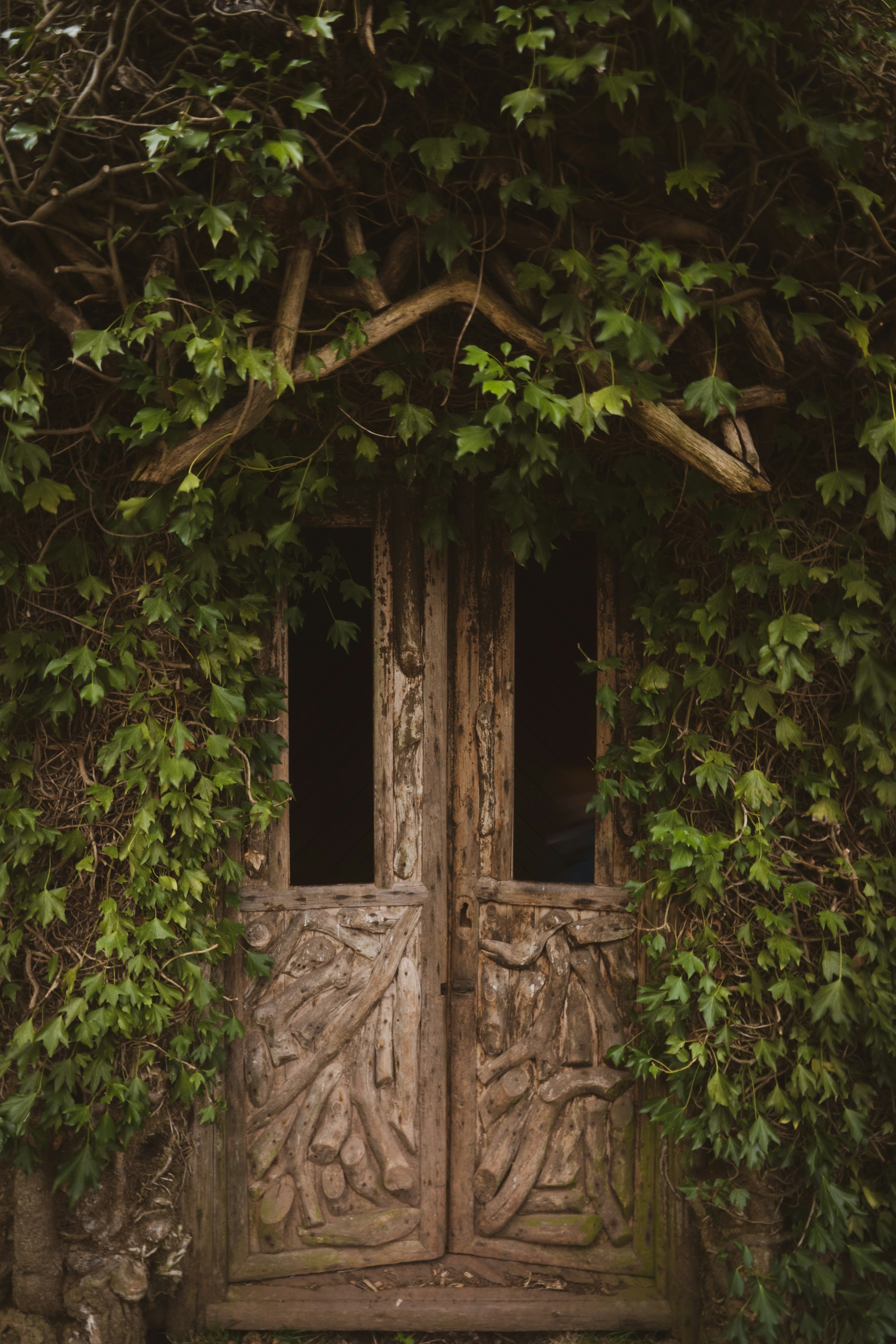 A rustic wooden door with intricate carvings, surrounded by lush green plants.