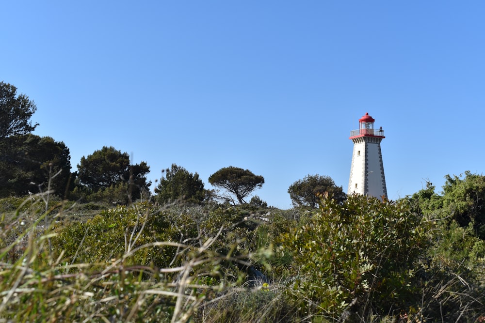 white and red lighthouse on rocky hill under blue sky during daytime
