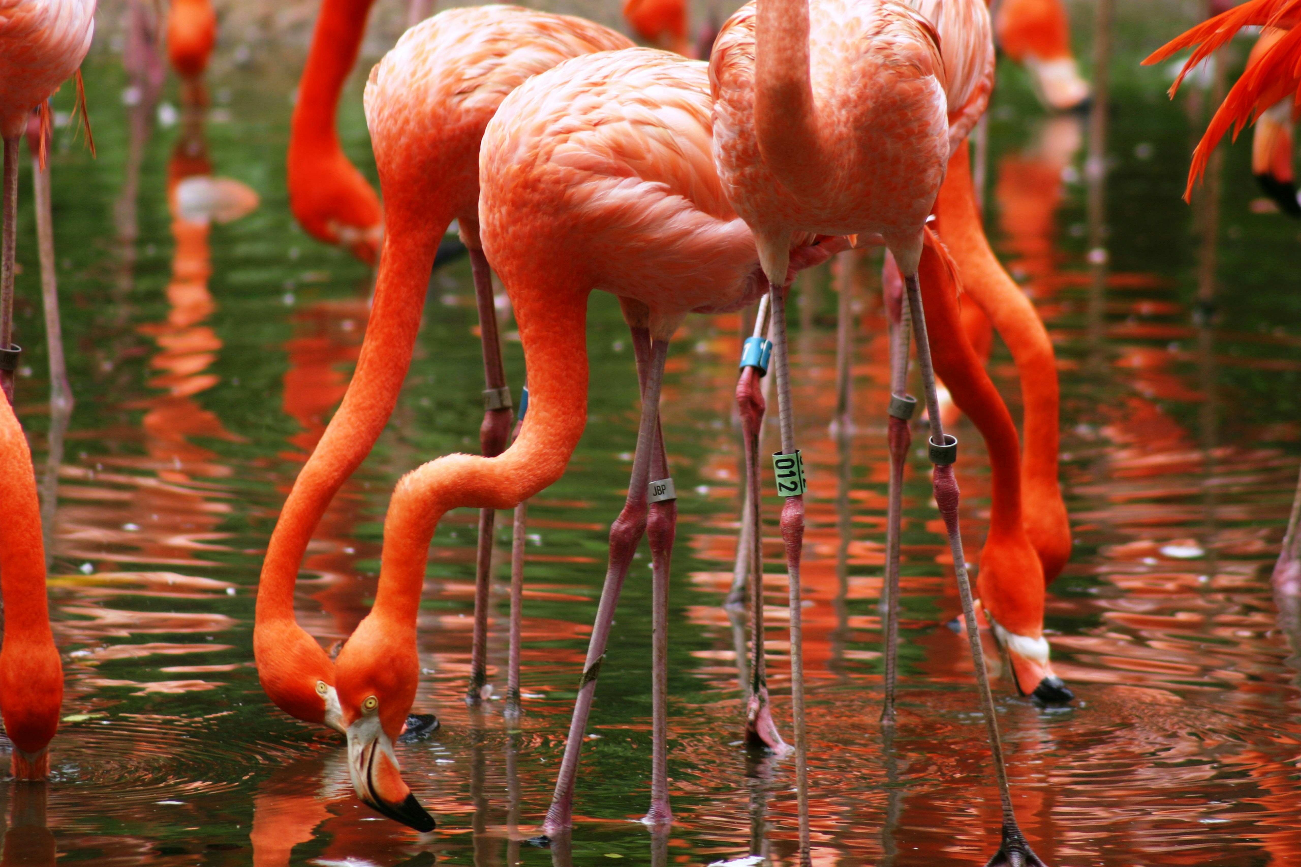 Photo by manish_tulaskar