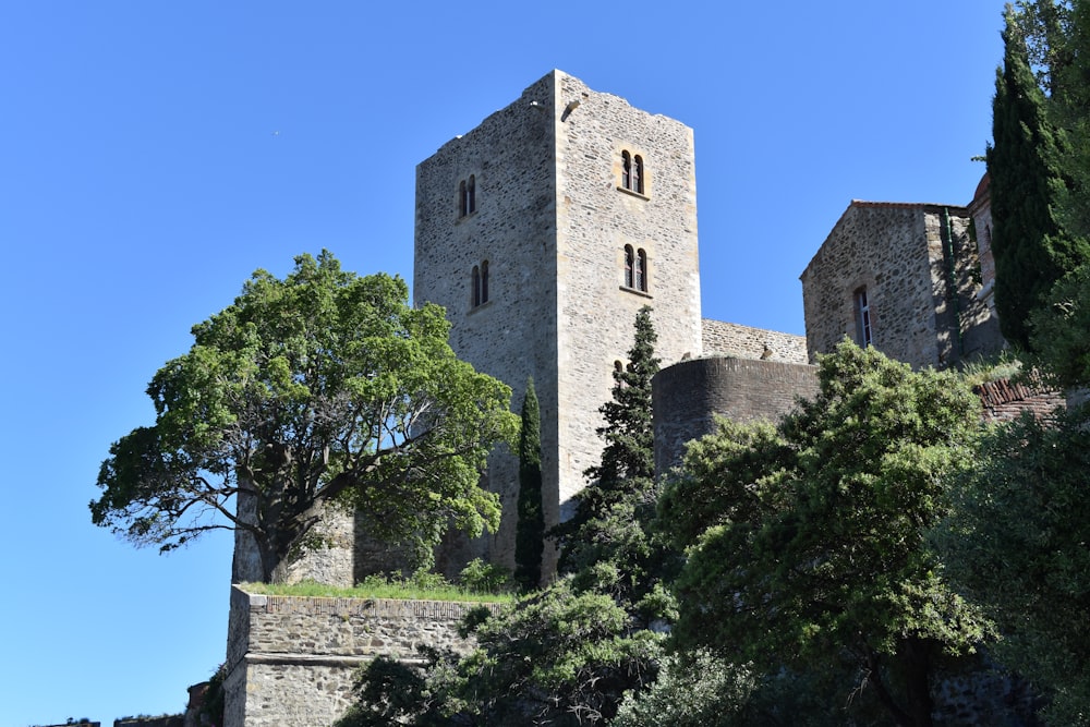 brown concrete building near green trees under blue sky during daytime