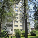 A multi-story residential building with several windows and balconies is partially obscured by tall trees and lush green foliage. White fabrics appear to be drying on one of the balconies, which suggests domestic life. Sunlight illuminates the building, creating a warm and welcoming atmosphere.