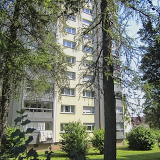 A multi-story residential building with several windows and balconies is partially obscured by tall trees and lush green foliage. White fabrics appear to be drying on one of the balconies, which suggests domestic life. Sunlight illuminates the building, creating a warm and welcoming atmosphere.