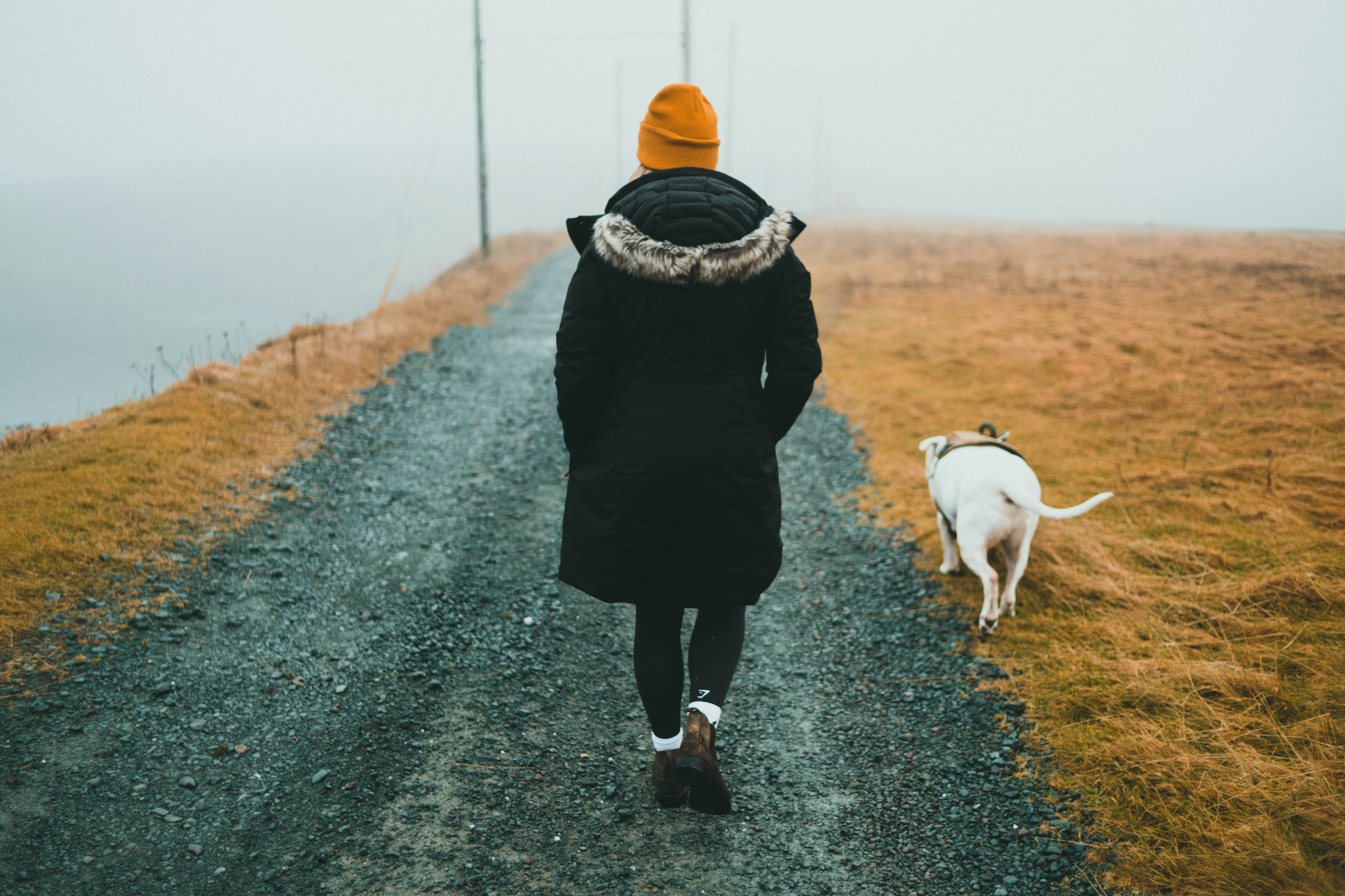 Photo by theshuttervision