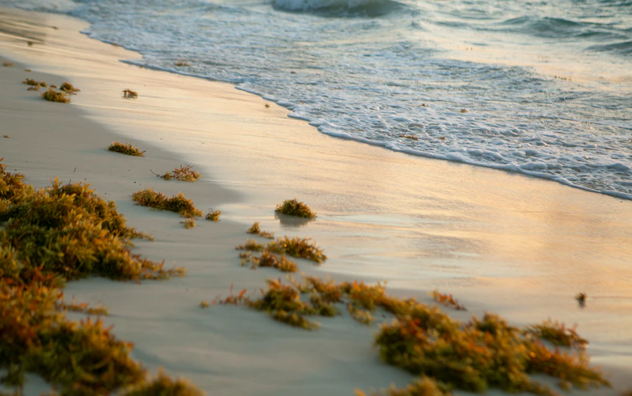 Caribbean turquoise ocean waves on white sand beach Mexico