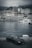 white and black yacht on body of water during daytime