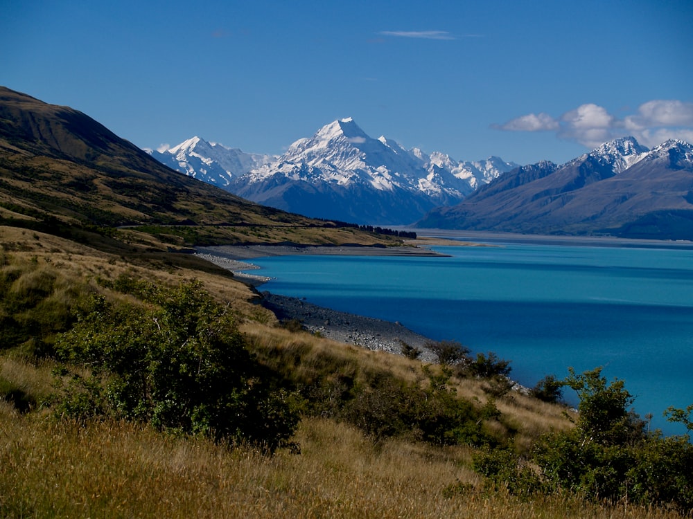 green grass field near lake and snow covered mountains during daytime