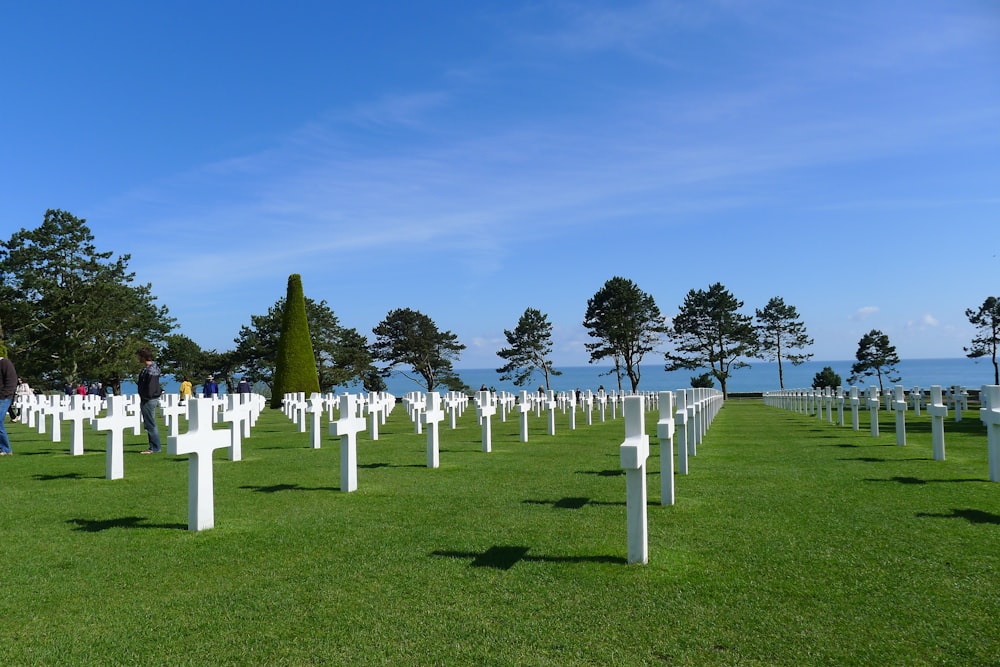 white wooden fence on green grass field during daytime