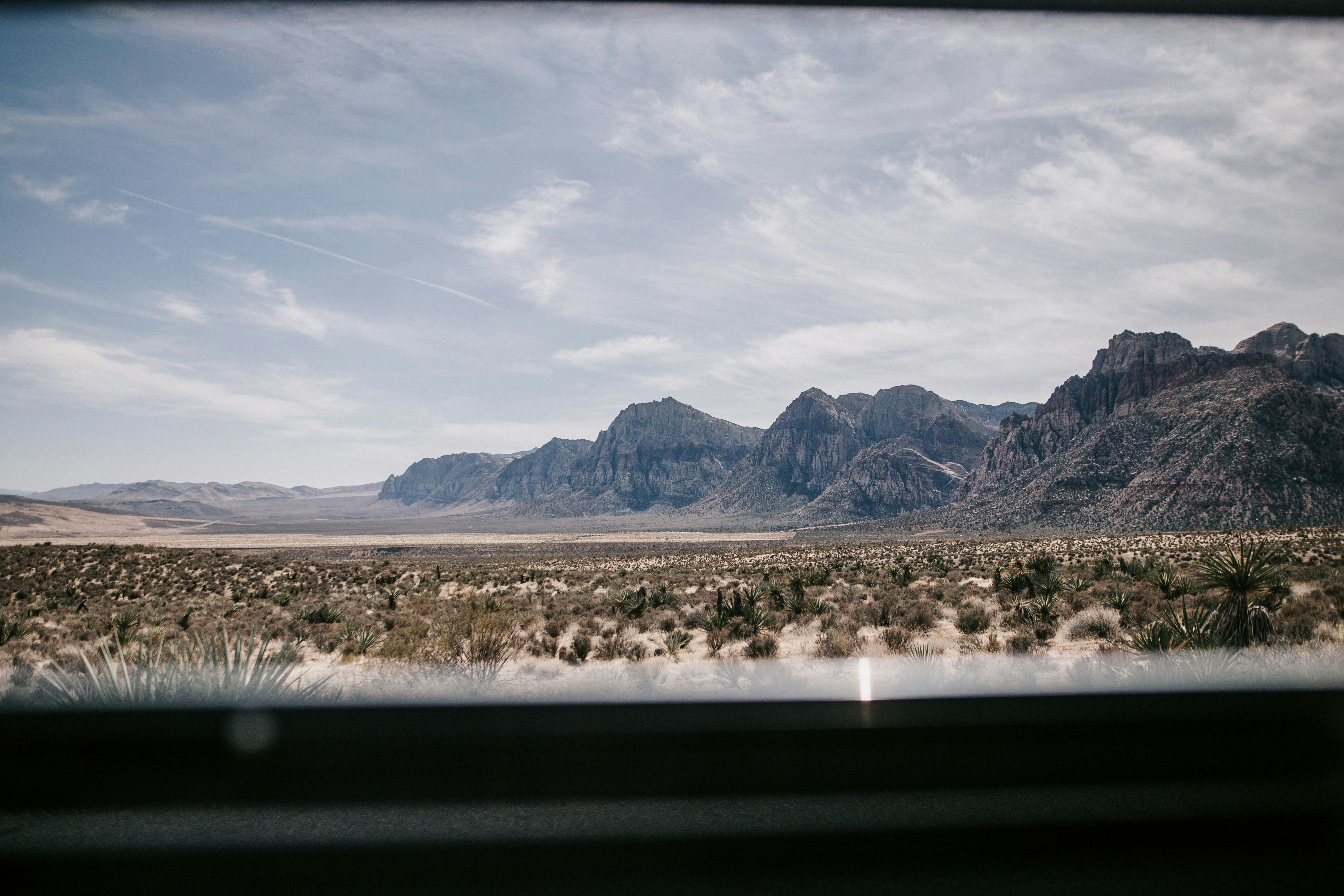 Photo by dillydallying