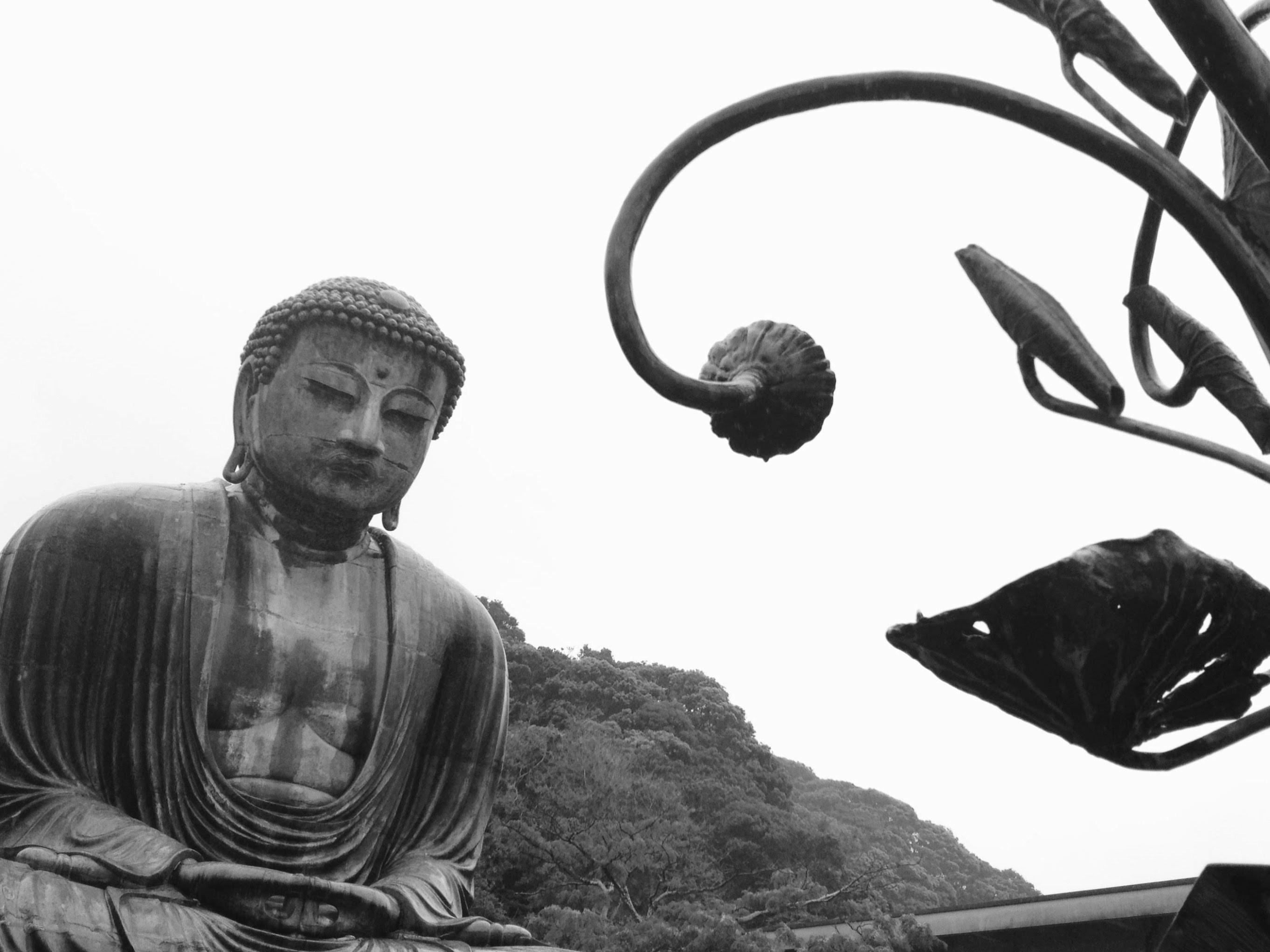 The Great Buddha of Kamakura