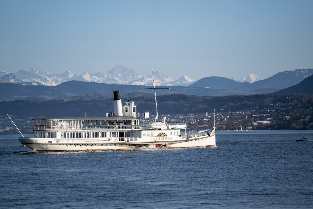 Weißes Schiff auf See tagsüber